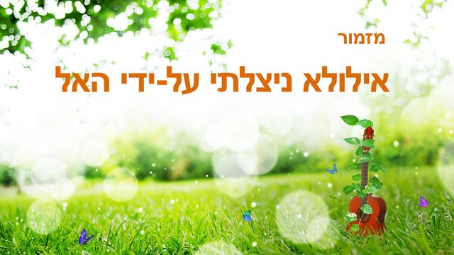 אילולא ניצלתי על-ידי האל
