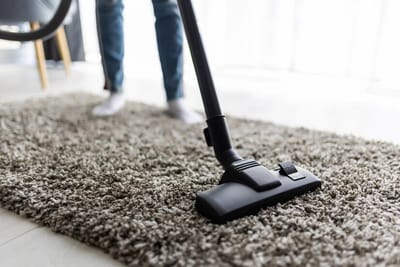 What Are the Benefits of Hiring a Professional Carpet Cleaning Service?