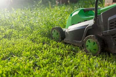 Green and Gorgeous: Elevate Your Lawn with Expert Lawn Care in Savannah, GA