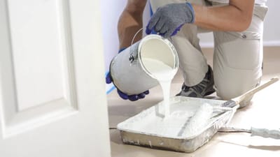 Transform Your Space with Professional Painting Services in Valrico, FL