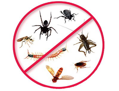 خدمات مكافحة الحشرات والتخلص من الآفات الضارة