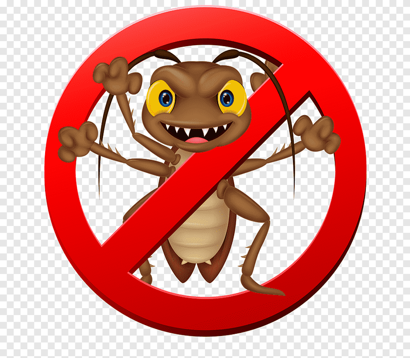 القضاء على الصراصير نهائيًا