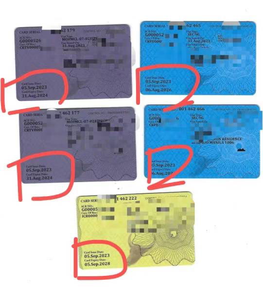 13(a) Non-Quota Immigrant Visa by Marriage