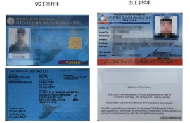 工作签证9G急速降签