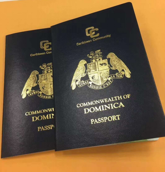 恭喜多位客人获批多米尼克入籍项目