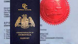 多米尼克无犯罪证明代办成功案例