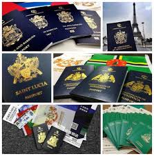 多米尼克驾驶证/无犯罪/税号/电话卡 海外代办服务