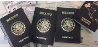 墨西哥入籍成功案例分享