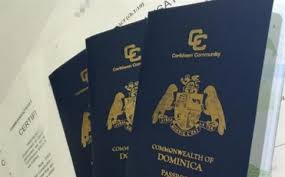 多米尼克最新版芯片护照成功案例