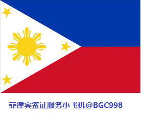 菲律宾入境签证成功案例分享