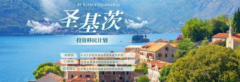 圣基茨护照成功案例分享
