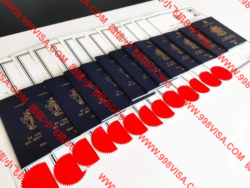 最新第三国入籍项目成功案例分享