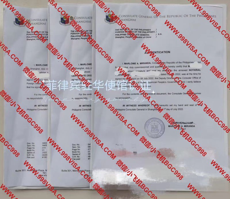 菲律宾大使馆认证成功案例
