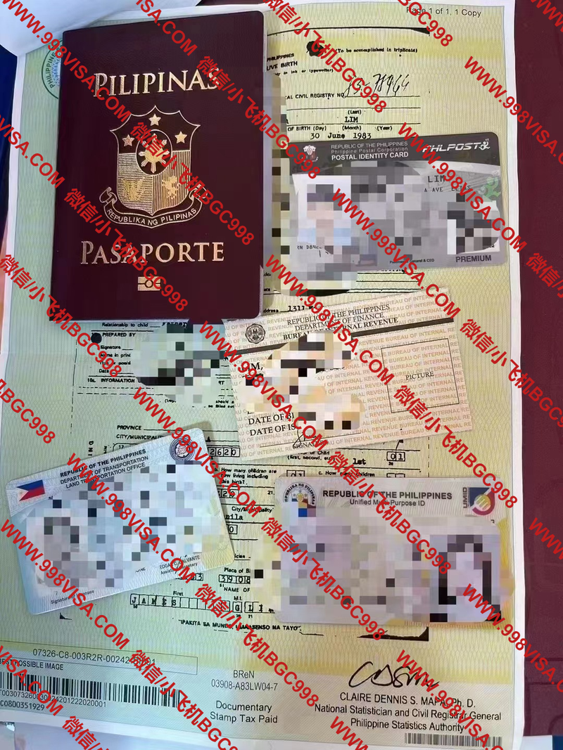 菲律宾入籍护照成功案例分享
