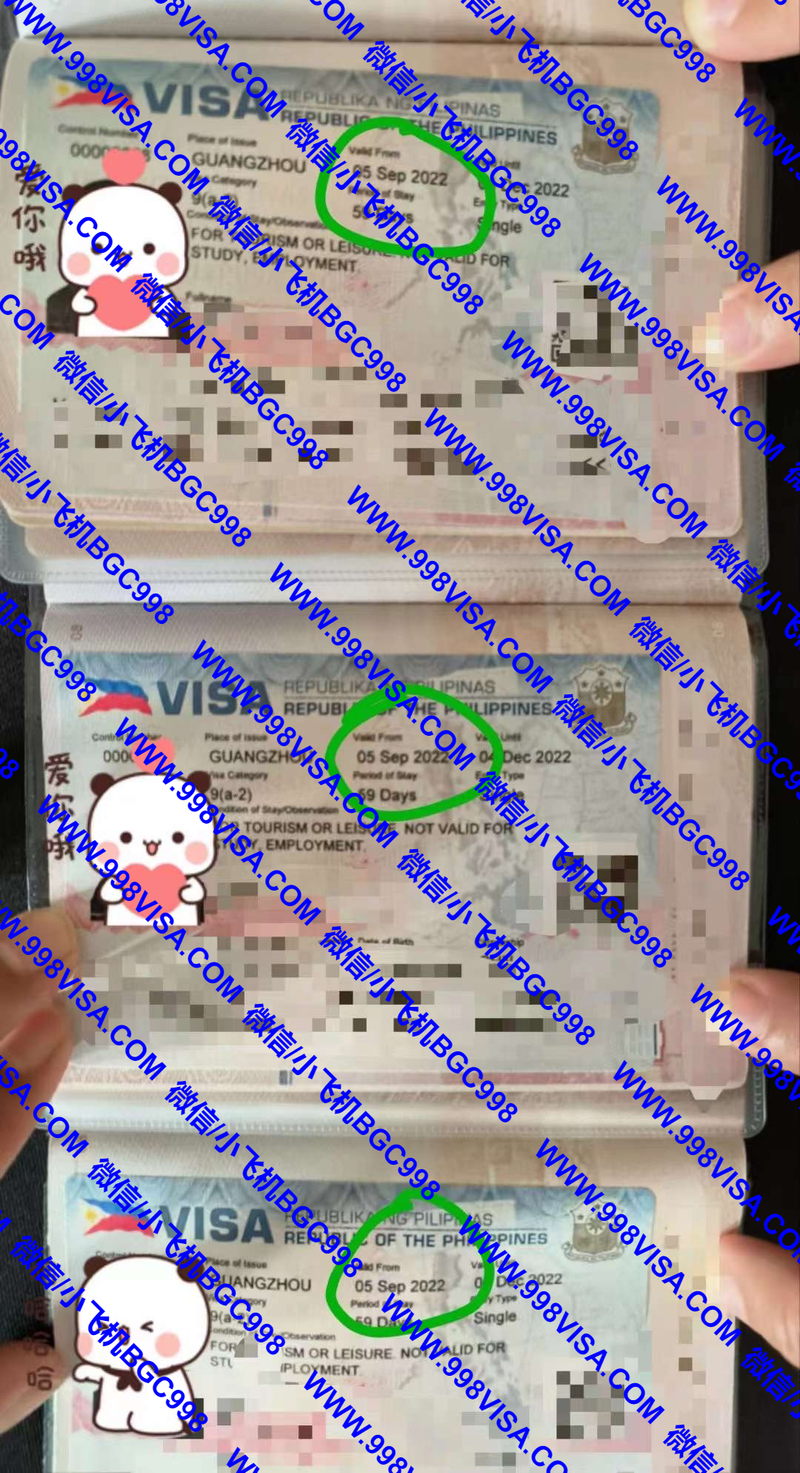 广州办理菲律宾入境签证免面试成功案例分享