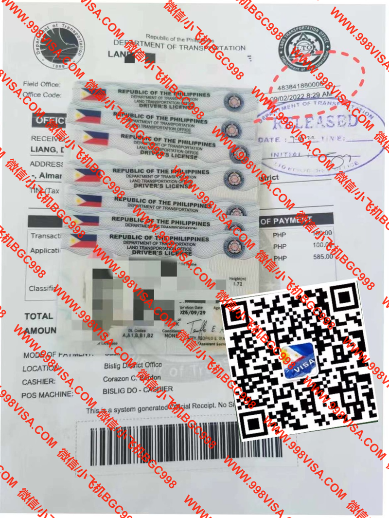 越南人马来西亚人办理菲律宾驾驶证 成功案例分享