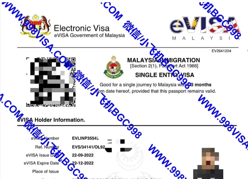 马来西亚电子签证快速申请