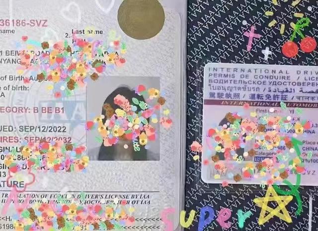 菲律宾国际驾驶证办理成功案例