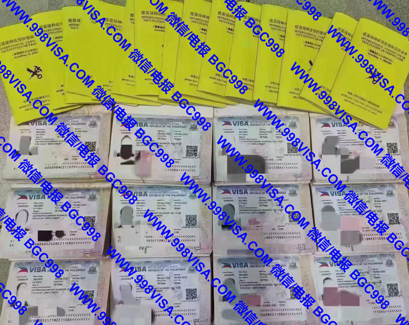 人在其他国家申请菲律宾签证成功案例