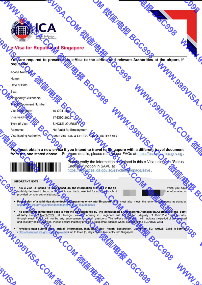 菲律宾申请新加坡签证成功案例