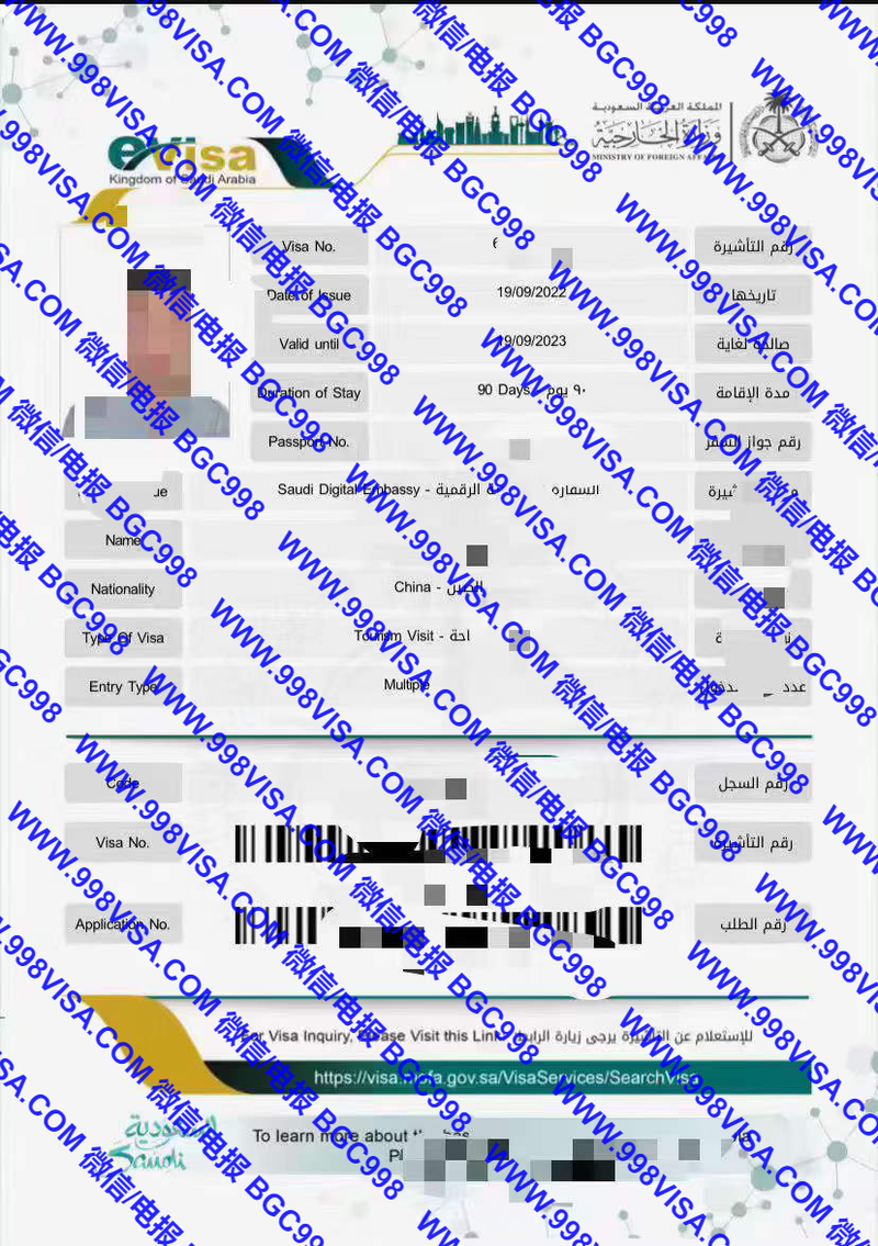 菲律宾办理沙特阿拉伯 eVisa电子签证成功案例