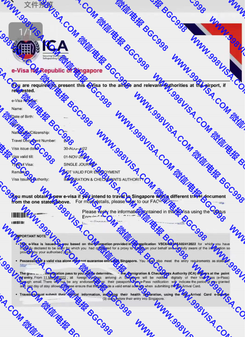 菲律宾申请新加坡签证