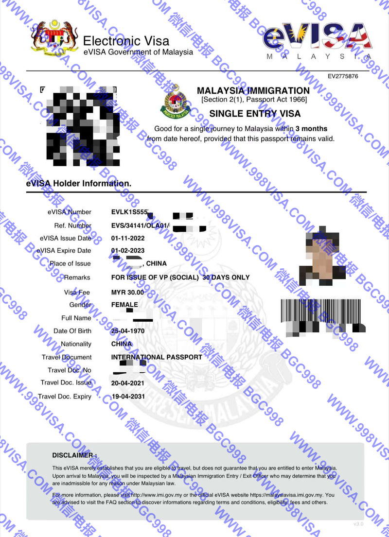 人在国外如何申请马来西亚入境签证？