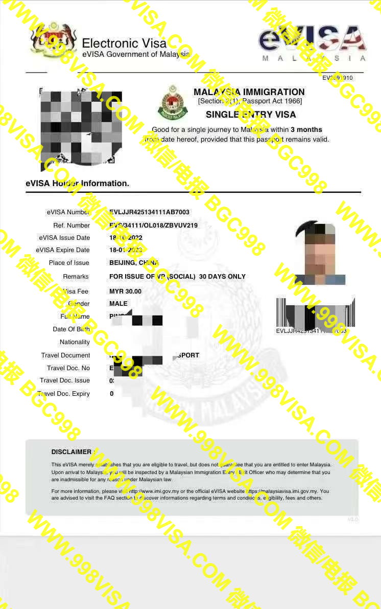 人在国外办理马来西亚电子签证