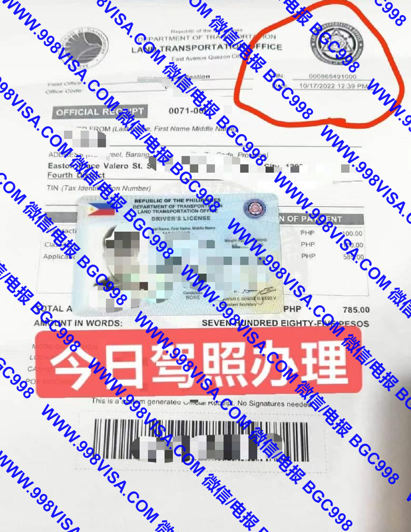 菲律宾驾驶证总局办理成功案例分享