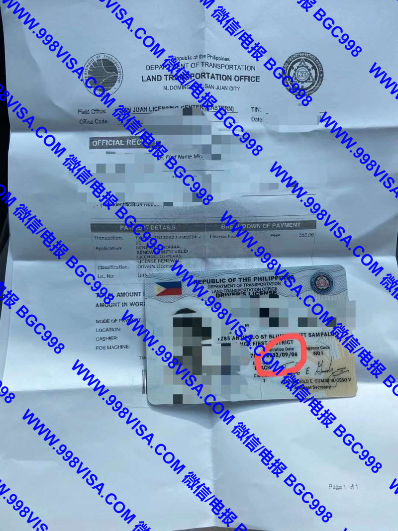 LTO总局办理中国驾驶证换菲律宾驾照服务成功案例