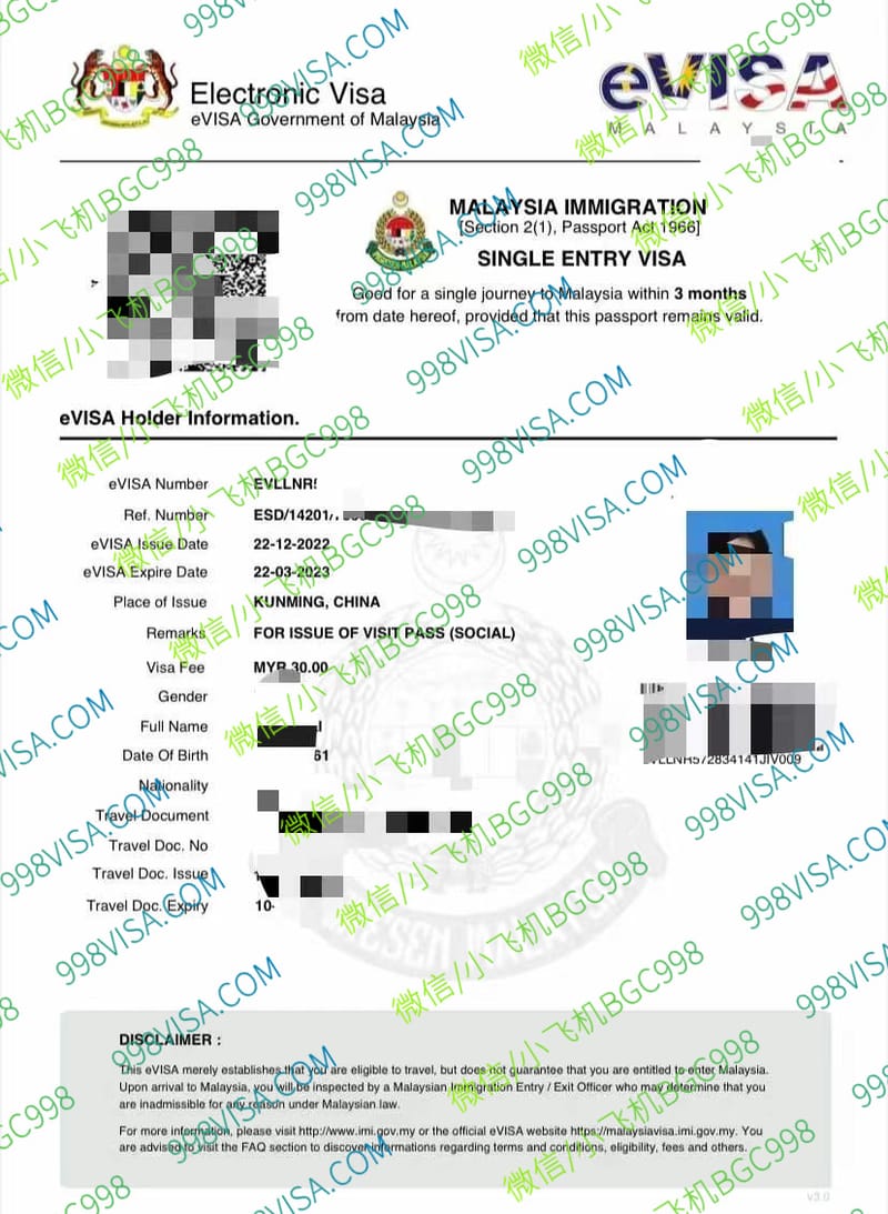 菲律宾客户申请马来西亚入境电子签证