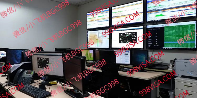 ALO状态下9A签证延期服务