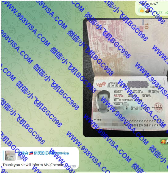 菲律宾申请日本多次签证申请案例分享