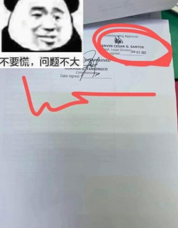 菲律宾ALO解除案例分享