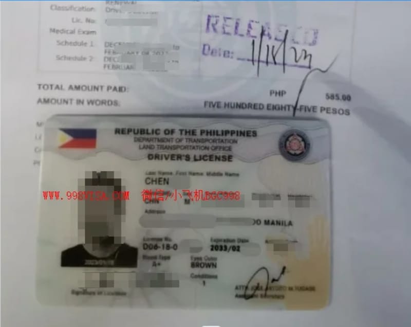马尼拉驾照到期后换证案例分享