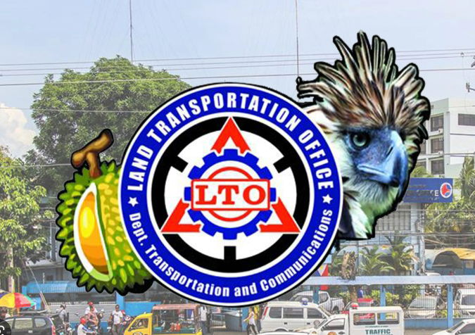 菲律宾达沃驾驶证办理案例