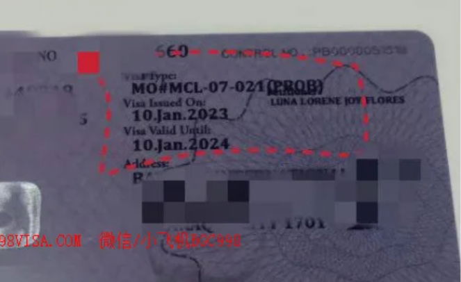 菲律宾结婚签证办理案例分享