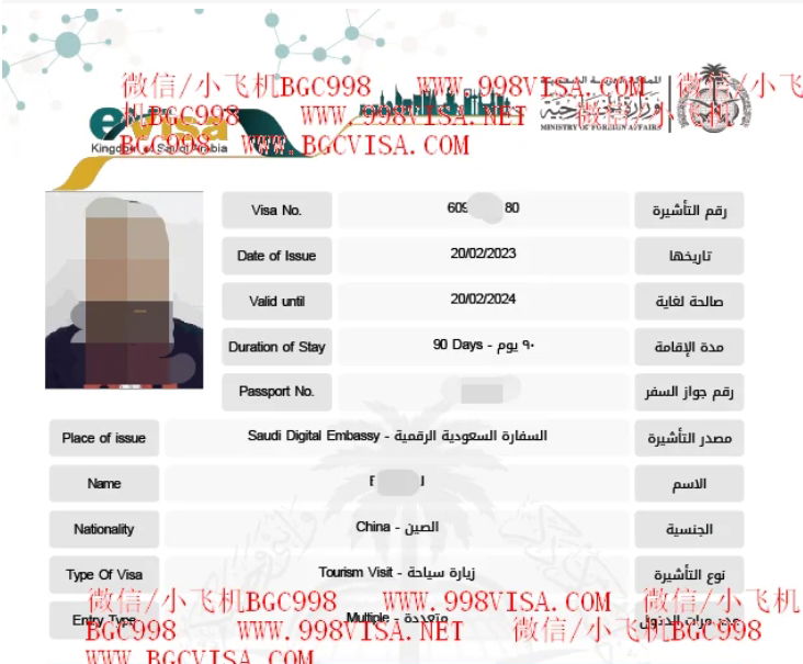 菲律宾申请沙特签证服务案例分享