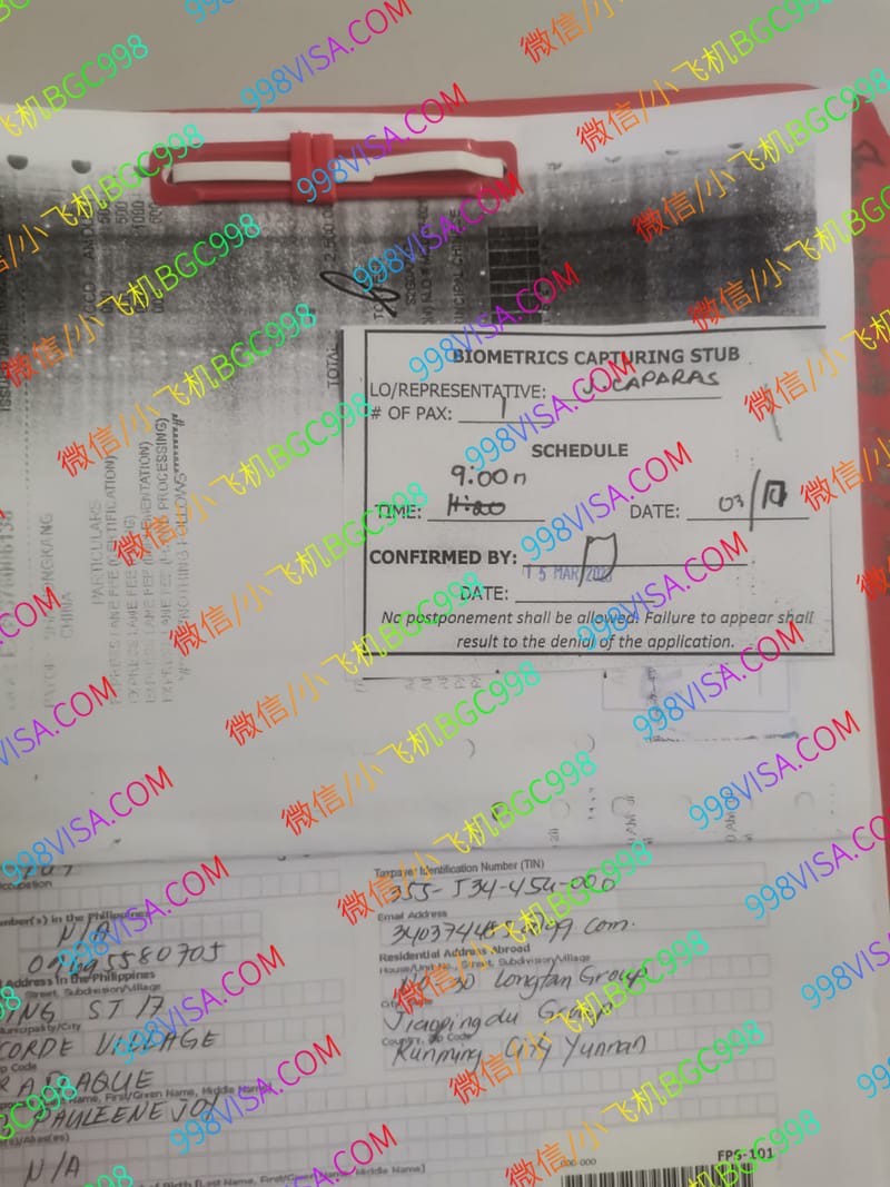 菲律宾13A办理案例分享