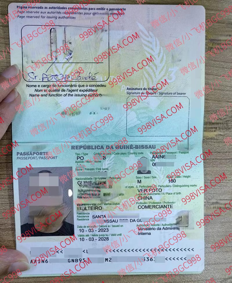 几内亚比绍案例分享