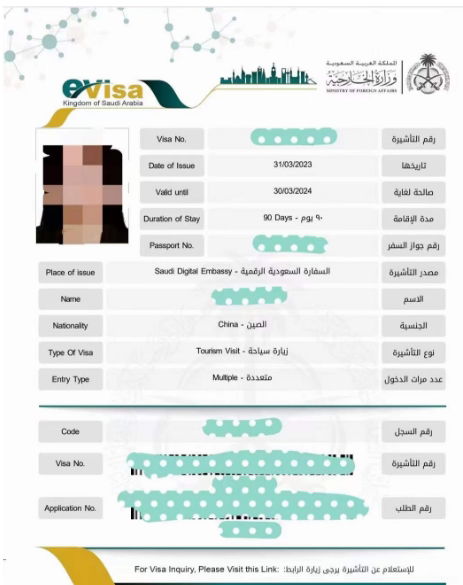 沙特签证办理成功案例分享