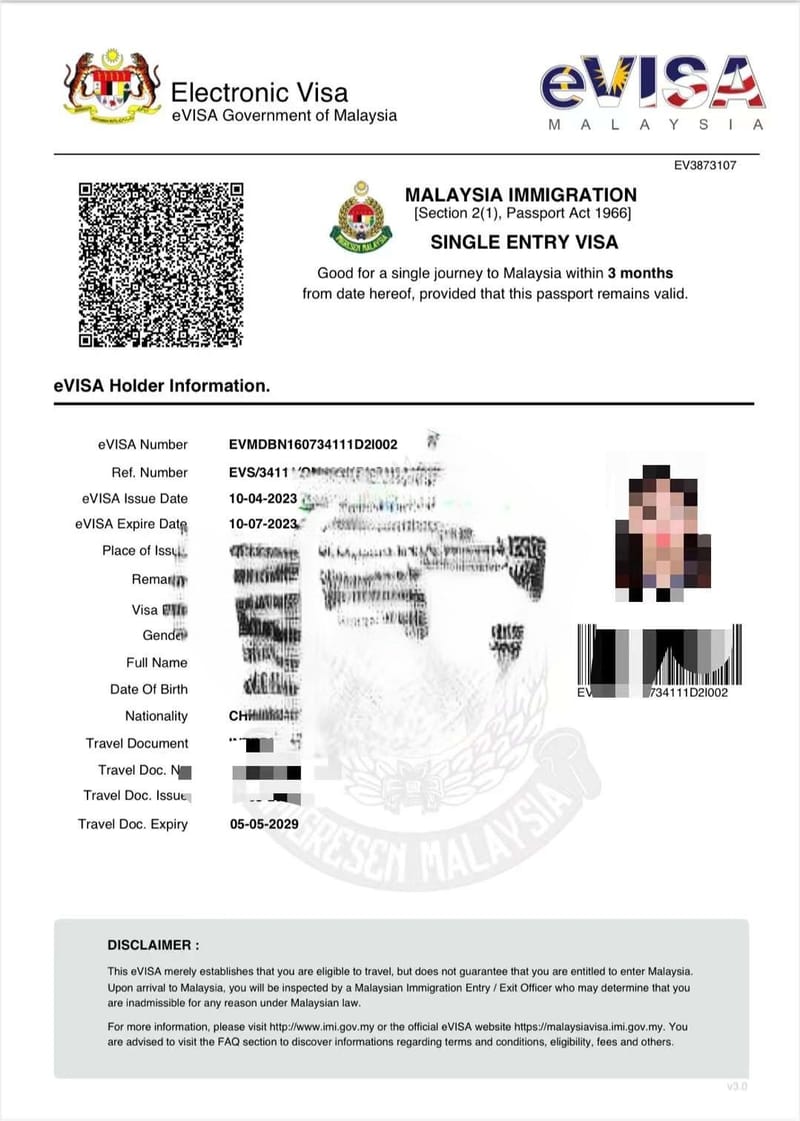 马来电子签证快速服务