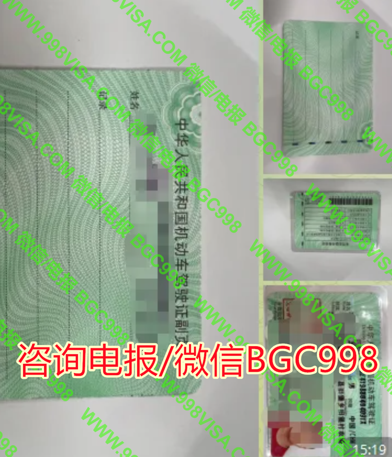 人在菲律宾国内驾驶证更新案例