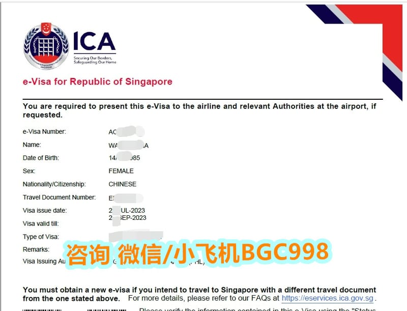 菲律宾申请新加坡签证成功案例