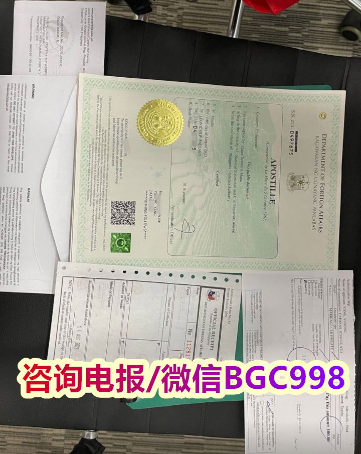 菲律宾13C签证办理需要什么材料