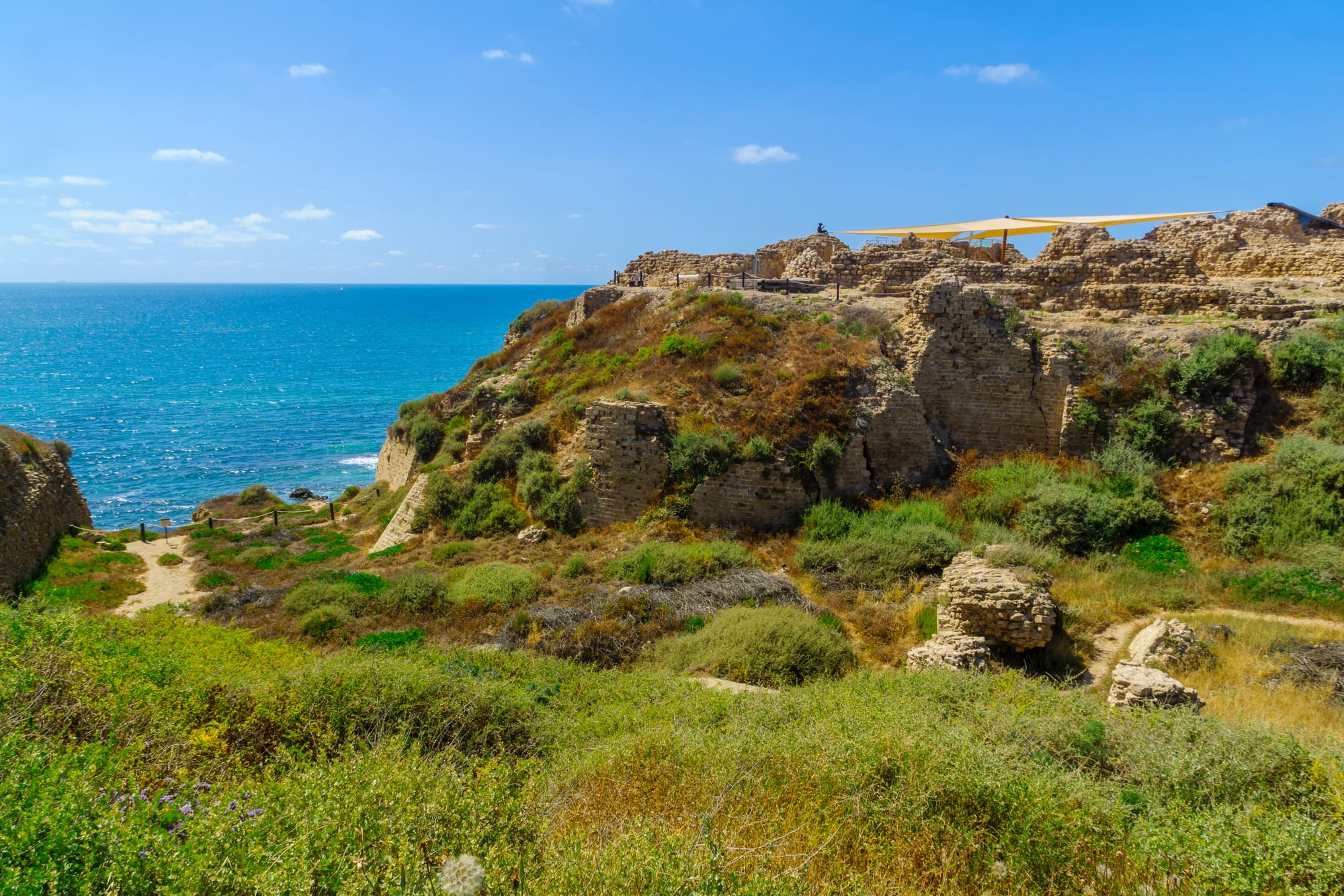 קוטג'ים להשכרה ולמכירה בצוקי ארסוף