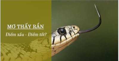 Mơ thấy rắn 3 đầu điềm báo gì?