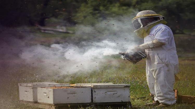 Εθνικό Ηλεκτρονικό Μελισσοκομικό Μητρώο και Ατομική Μελισσοκομική Ταυτότητα