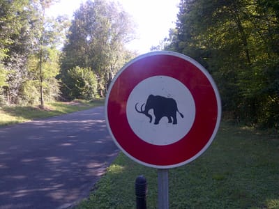 Edouard Philippe, attrapé à 155 km/h sur une nationale, va nous limiter à 80 km/h.