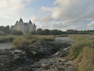 Où sont les écologistes ?